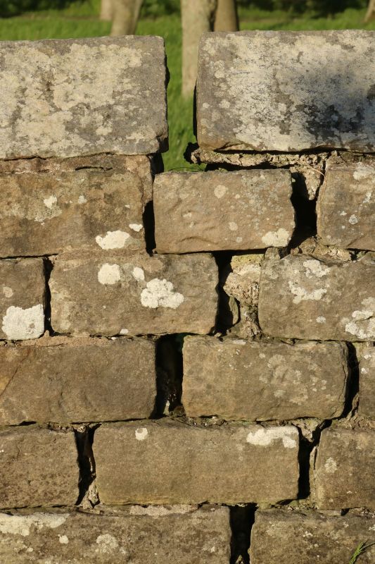 Stone Wall Repair in Milford, MI